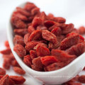 Fraîche vitamine Goji Berry certifiée EU